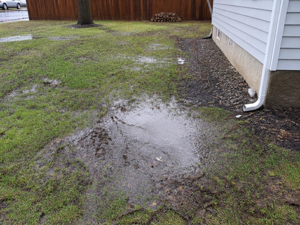 Soggy lawn with standing water beside a house